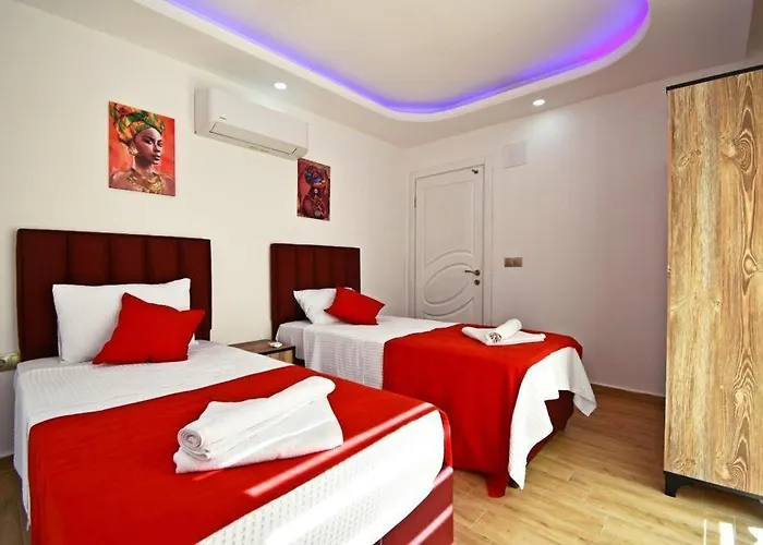 Defnem 1 费特希耶